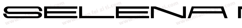 SELENA MARIN Width2 Italic字体转换